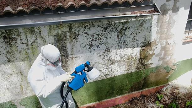 Top rated local Crawl Space Mold Remediation specialists in Middletown, MD